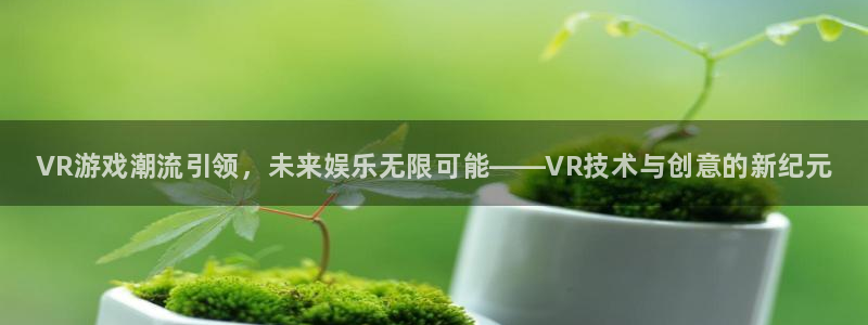 鼎点娱乐2首页登录：VR游戏潮流引领，未来娱乐无限可能——V