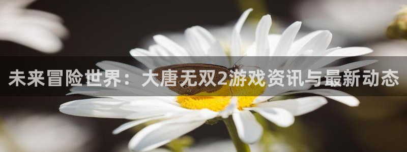 鼎点娱乐官方平台：未来冒险世界：大唐无双2游戏资讯与最新动态