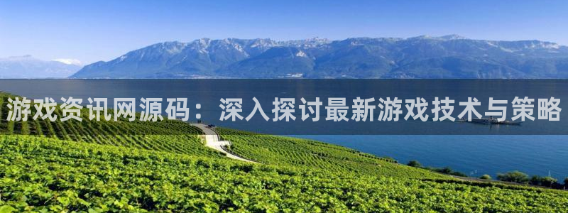 鼎点娱乐平台注册资金多少：游戏资讯网源码：深入探讨最新游戏技