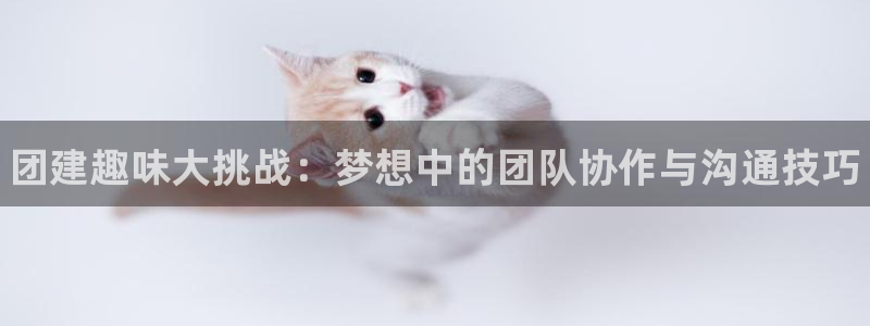 手机鼎点娱乐下载安装：团建趣味大挑战：梦想中的团队协作与沟通