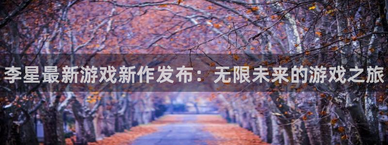 鼎点娱乐注册测速：李星最新游戏新作发布：无限未来的游戏之旅