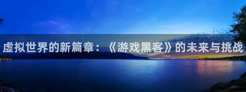 鼎点娱乐官网：虚拟世界的新篇章：《游戏黑客》的未来与挑战