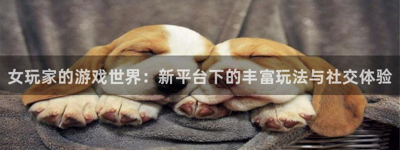 鼎点娱乐娱乐是真的吗：女玩家的游戏世界：新平台下的丰富玩法与