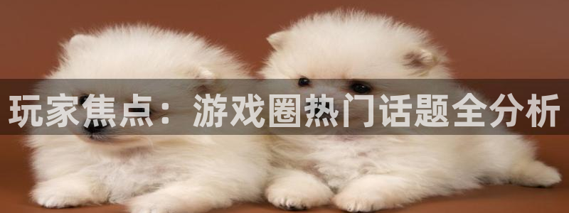 鼎点娱乐网页登录入口官网：玩家焦点：游戏圈热门话题全分析