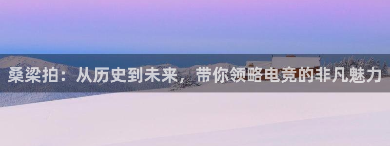 鼎点娱乐娱乐是真的吗：桑梁拍：从历史到未来，带你领略电竞的非