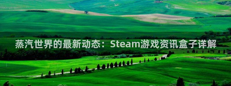 鼎点娱乐2登录：蒸汽世界的最新动态：Steam游戏资讯盒子详
