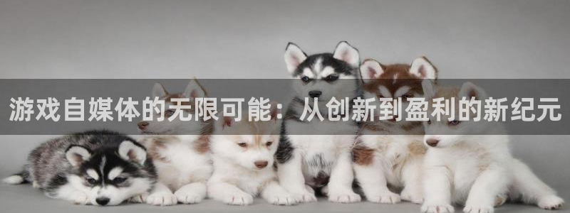 鼎点娱乐平台登录：游戏自媒体的无限可能：从创新到盈利的新纪元