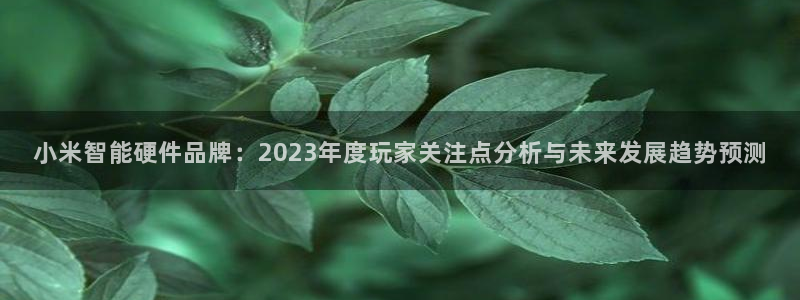 鼎点娱乐平台：小米智能硬件品牌：2023年度玩家关注点分析与