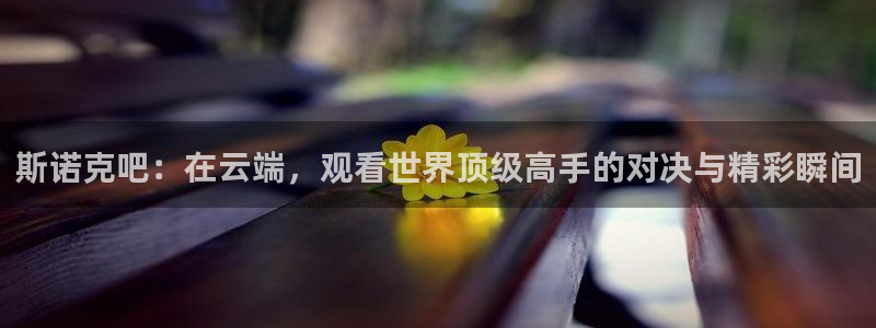 河豚体育nba直播：斯诺克吧：在云端，观看世界顶级高手的对决与精彩瞬间