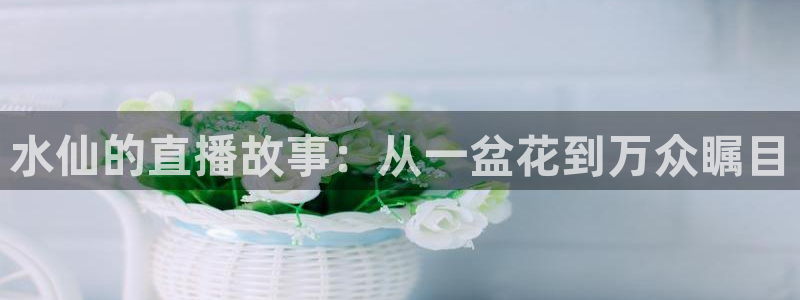 河豚直播体育直播：水仙的直播故事：从一盆花到万众瞩目