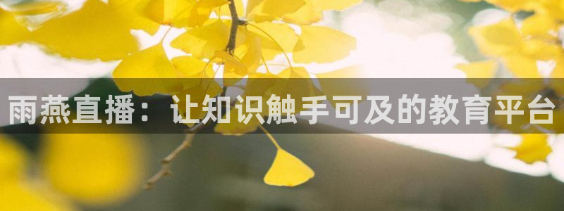 河豚体育赛事直播：雨燕直播：让知识触手可及的教育平台