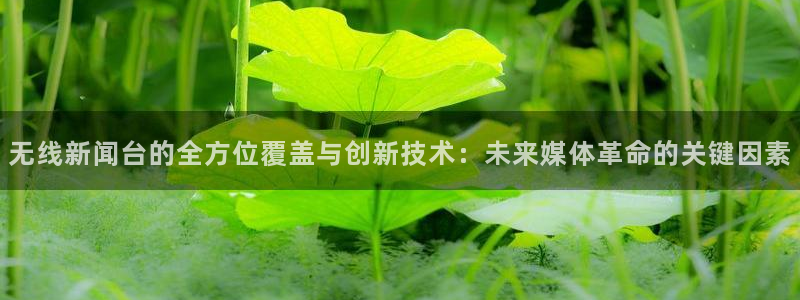 河豚体育直播nba：无线新闻台的全方位覆盖与创新技术：未来媒体革命的关键因素