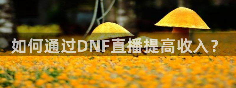 河豚足球直播网：如何通过DNF直播提高收入？