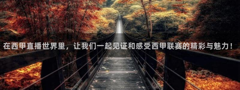 河豚nba篮球直播在线观看：在西甲直播世界里，让我们一起见证和感受西甲联赛的精彩与魅力！