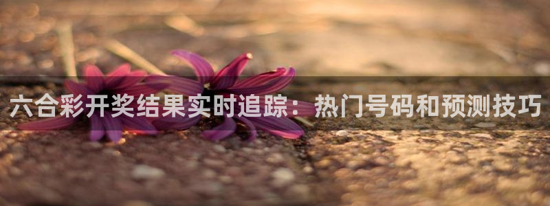 河豚足球直播：六合彩开奖结果实时追踪：热门号码和预测技巧
