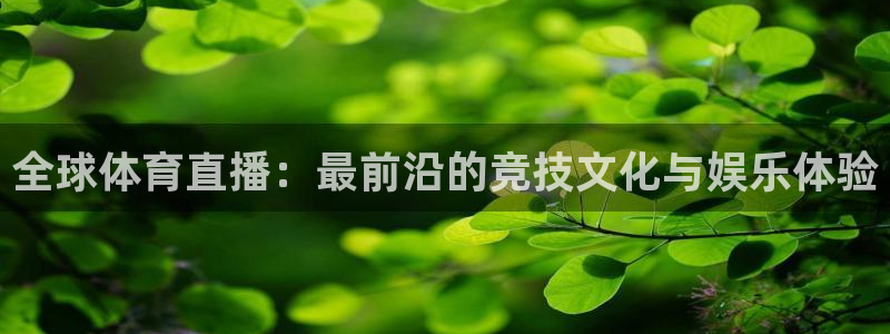 河豚体育app下载：全球体育直播：最前沿的竞技文化与娱乐体验