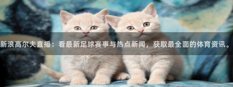 河豚体育免费直播：新浪高尔夫直播：看最新足球赛事与热点新闻，获取最全面的体育资讯。